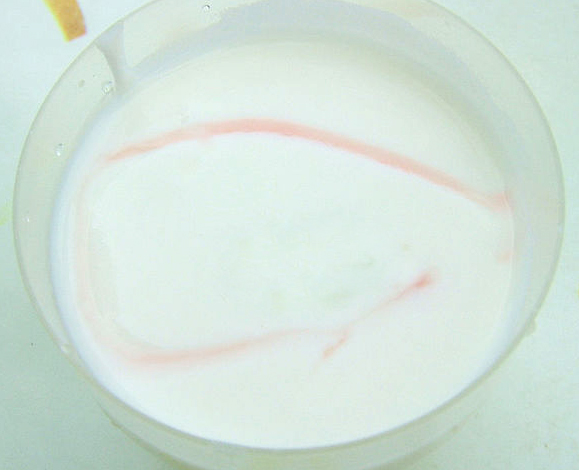 Fast Frozen Yogurt Fast Frozen Yogurt picture