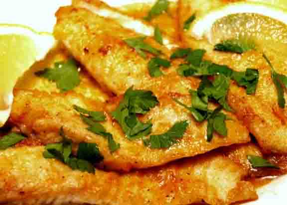 Fillets of Sole Queen Victoria Fillets of Sole Queen Victoria picture
