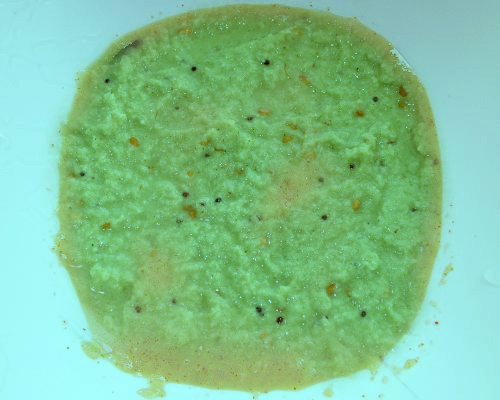 Fresh Coconut Chutney Fresh Coconut Chutney picture