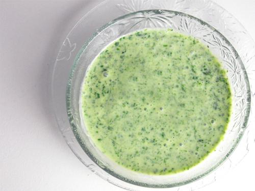 Fresh Mint Sauce Fresh Mint Sauce picture