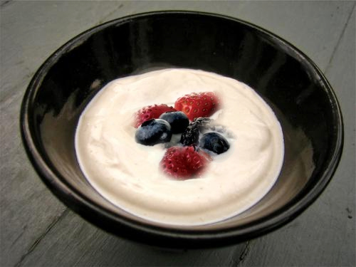 Fruit Yogurt Fruit Yogurt picture
