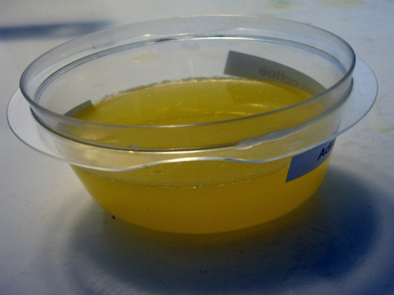 Ghee (sumneh) Ghee (sumneh) picture