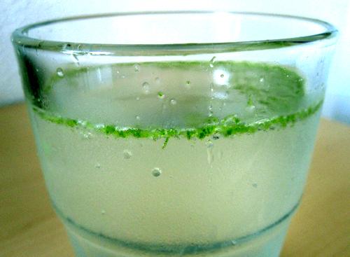 Gin And Benedictine Sangaree Gin And Benedictine Sangaree picture