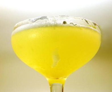 Ginger Punch Ginger Punch picture