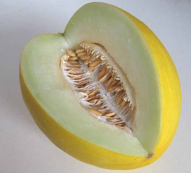 Gingered Honeydew Melon Gingered Honeydew Melon picture