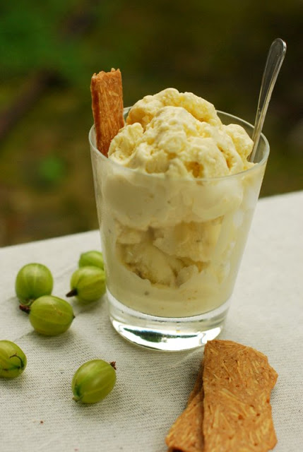 Gooseberry Cream 2 Gooseberry Cream 2 picture