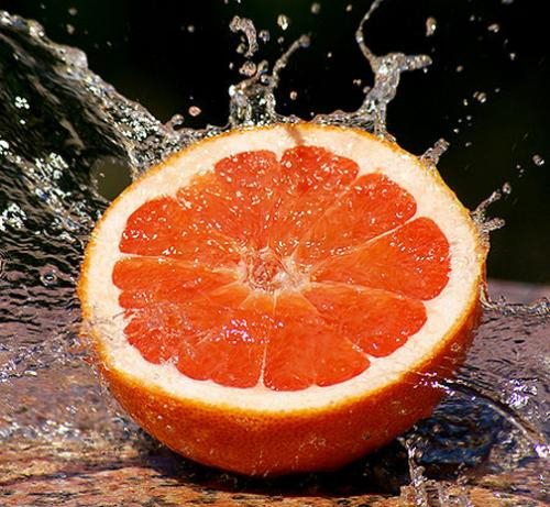 Fresh Grapefruit Halves with Orange Sections Fresh Grapefruit Halves with Orange Sections picture
