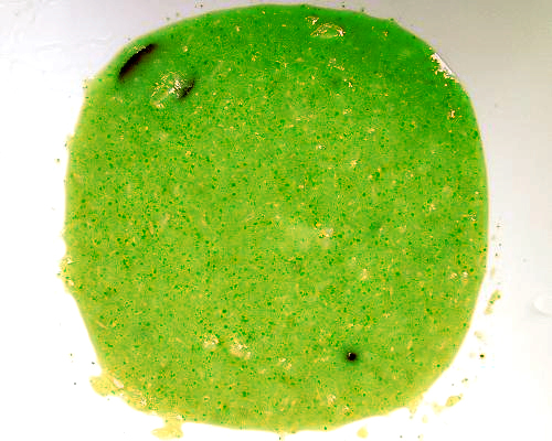 Green Coconut Chutney Green Coconut Chutney picture