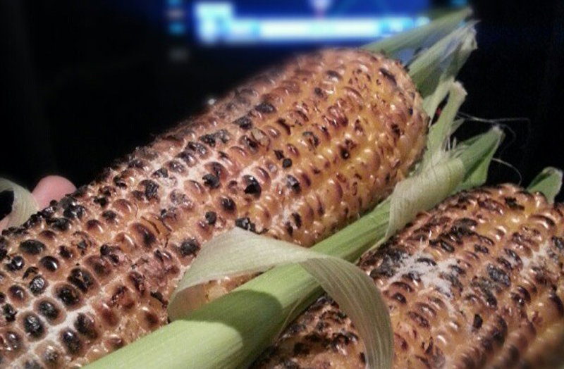 Corn in the Husk Corn in the Husk picture
