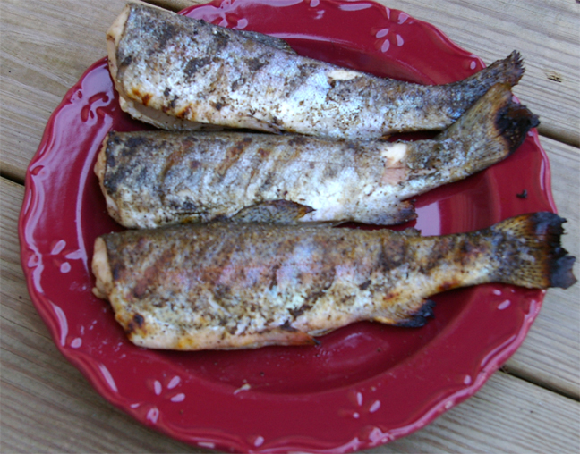 Grilled Trout Grilled Trout picture
