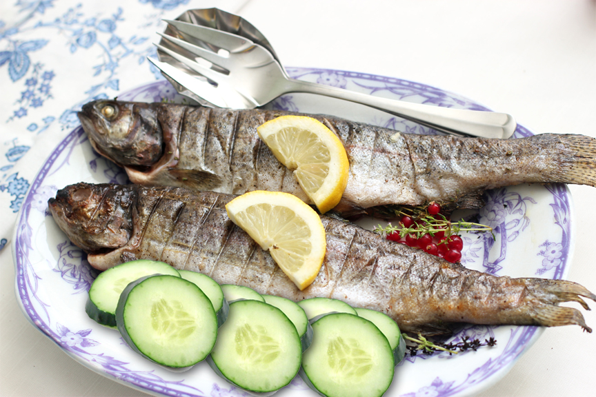 Grilled Trout with Cucumber Grilled Trout with Cucumber picture