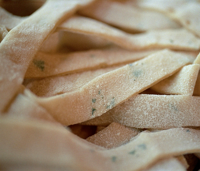 Homemade Noodles Homemade Noodles picture