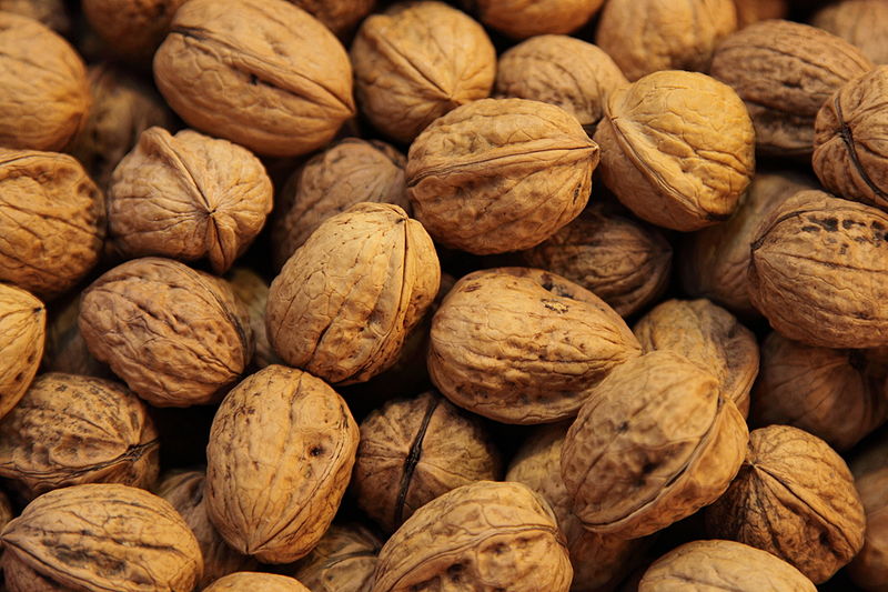 Walnut study is still not so sure about their efficacy but researchers are hopeful of better results. Walnuts 2