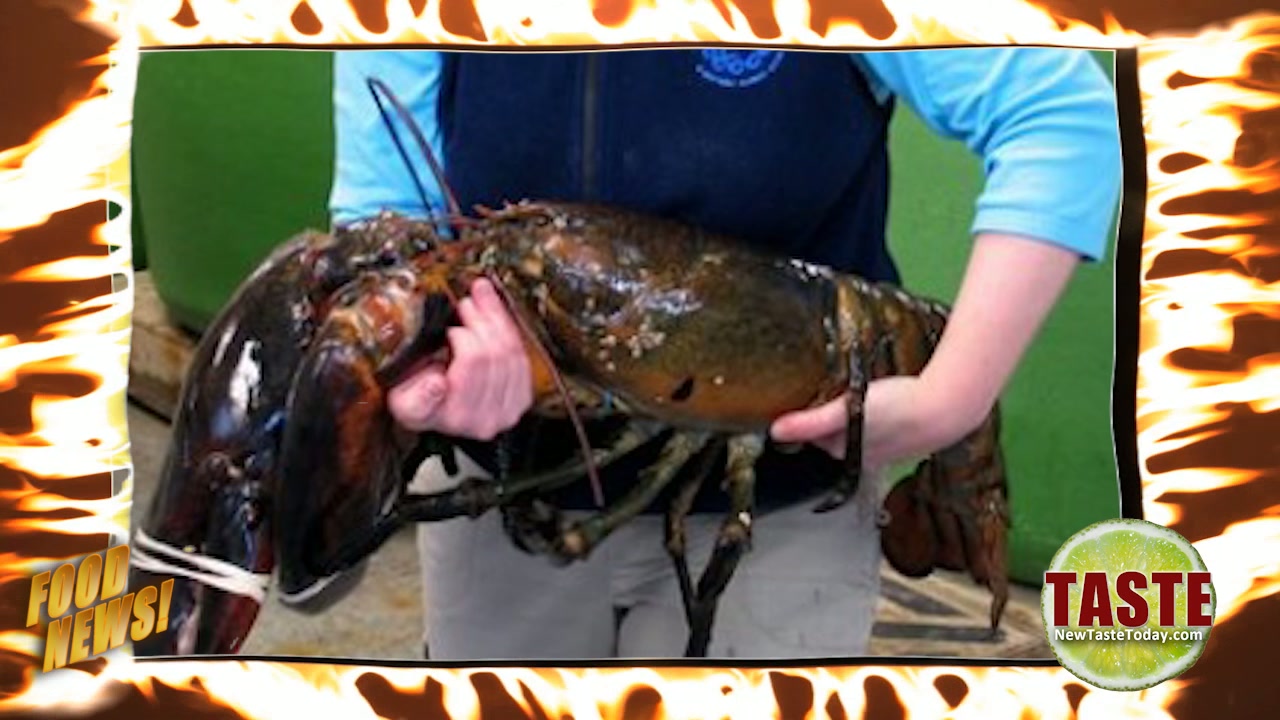 Olive Garden Italian Restaurant American Fork Ut Olive Garden Italian