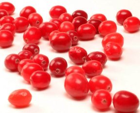 Cranberries As Best Fruit Supplement Cranberries as Supplements