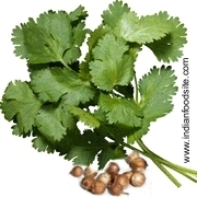 http://www.bulbule.com/ http://indianfoodsite.com/images/spices-im/cilantro.jpg