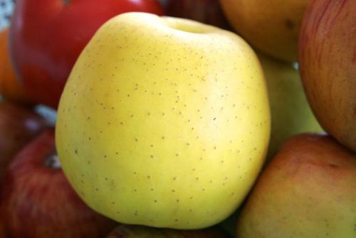 Apple seeds should be avoided Apple seeds