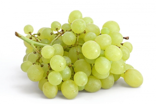 Grapes Grapes