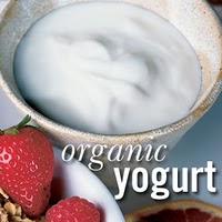 Ultimate Super Foods yogurt