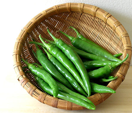 http://www.bulbule.com/ http://www.nandyala.org/mahanandi/images/vegetables/bajjimirapakaayalu2jpg
