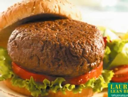 burger patty recipe