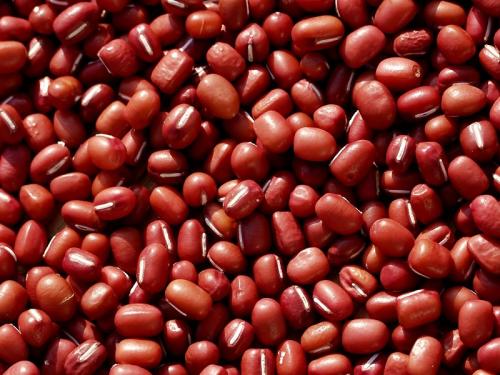 Delicious beans for national beans day