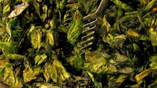 Green leafy vegetables are rich in magnesium