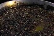 Black Paella : José Andrés