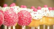 Cake Pops By Bakerella 