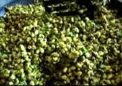 Classic Bhel Puri