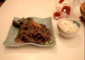 Korean Grilled Marinated Beef