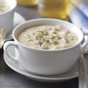 Broccoli Chowder
