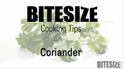Coriander Uses Videos | ifood. Coriander Uses Videos | ifood.