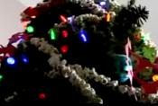 Tips To Celebrate Eco Friendly Christmas