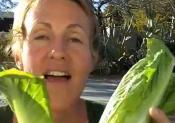 Fresh Healthy Living - The Importance Of Greens