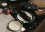 Grill Roasted Eggplant