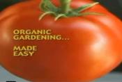 An Everyday Guide To Organic Living