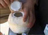 How To Open A Young Coconut