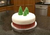 How To Decorate A Christmas Cake