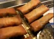 Homemade Delicious Spring Rolls