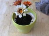 Mother's Day Potted Plant Ice Cream Cake