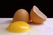Raw Eggs??? Dangerous Or Not?