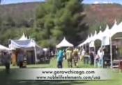 An Overview Of Raw Spirit Festival 2008