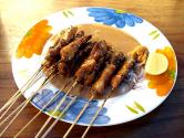 Cattish Sate