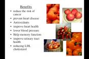 The Benefits Of Different Colored Fruits & Vegetables