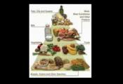 Weight Loss Advantages