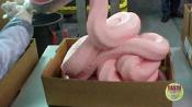 What Is In Pink Slime?