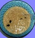 Yotemeal