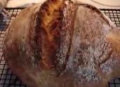 No Knead Soy Wholewheat Bread