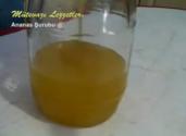 Turkish Ananas Urubu
